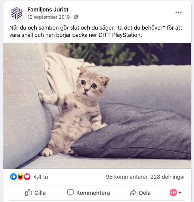 Post från Familjens Jurist Facebook med en ledsen katt på